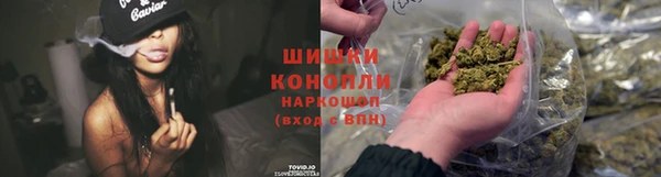 мяу мяу кристалл Богданович
