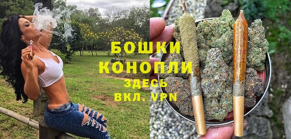 гидропоника Богородицк