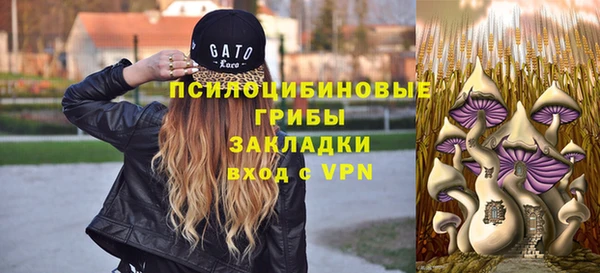 мяу мяу кристалл Богданович