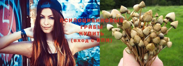 мяу мяу кристалл Богданович